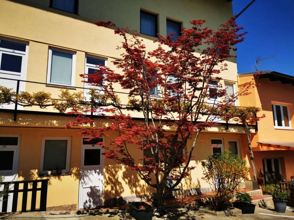 Hotel Goldene Krone 미스텔베크 외부 사진